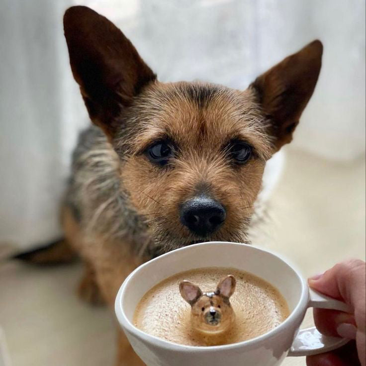 Inside Dog Cup | Animal Inspired Design