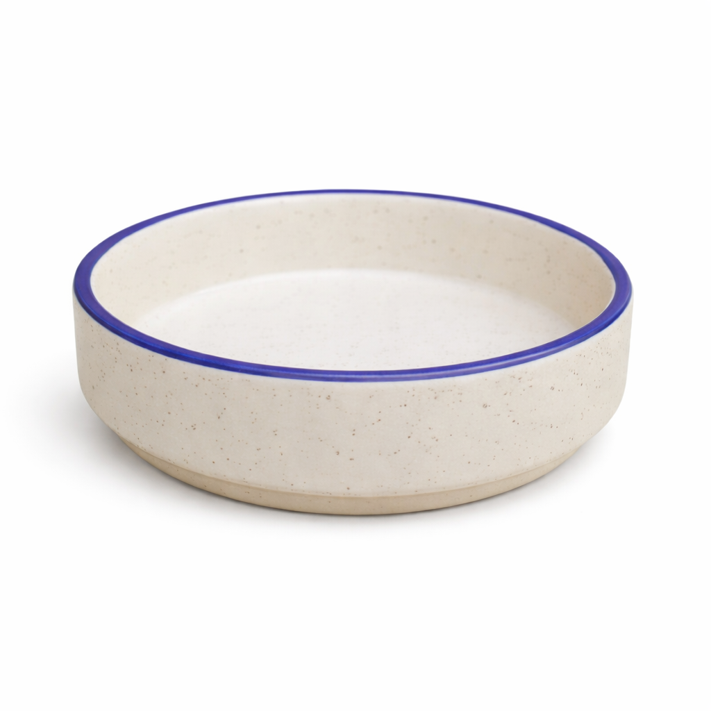 Freckled White Studio Ceramic Bowl (set of 1)