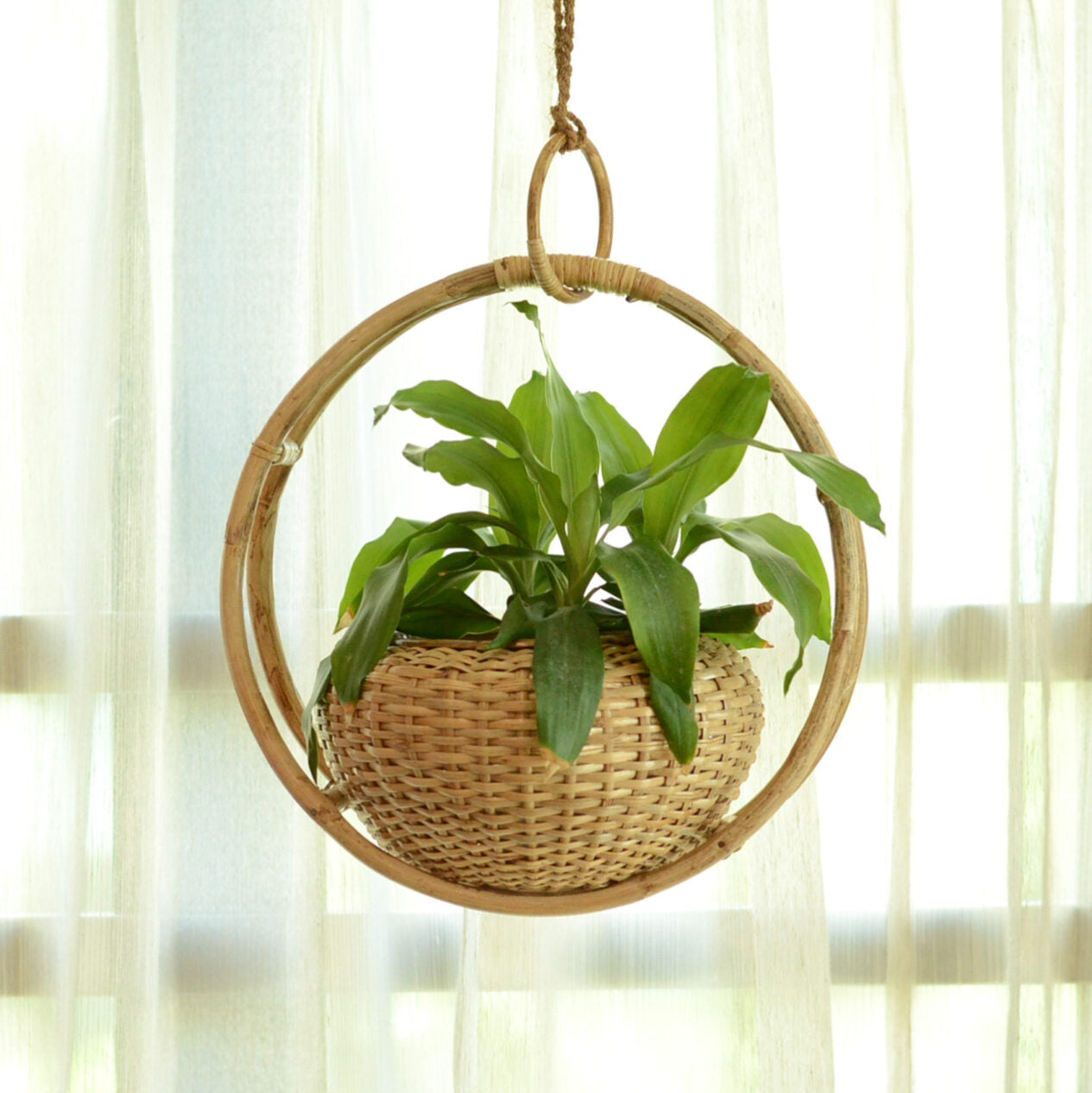 Hanging woven basket with a plant against a blurred window background