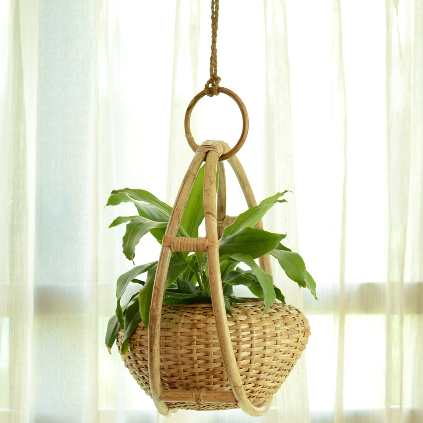 RATTAN KULSHI HANGING PLANT (SET OF 1)