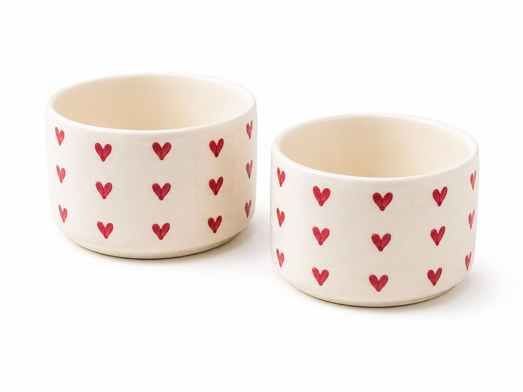 The Heart Edit Breakfast/Snack Bowls (set of 2)